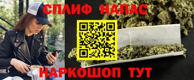 гашик Бийск