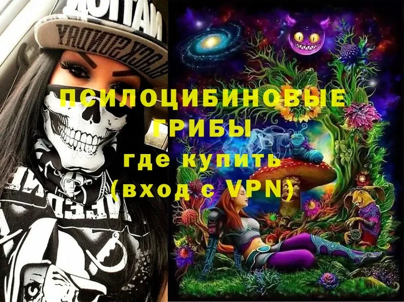 Псилоцибиновые грибы MAGIC MUSHROOMS  Зеленогорск 