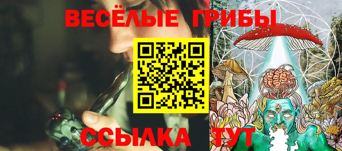 Галлюциногенные грибы ЛСД  Вход с VPN  Зеленогорск 
